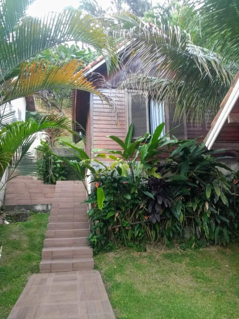 Property building, Garden view