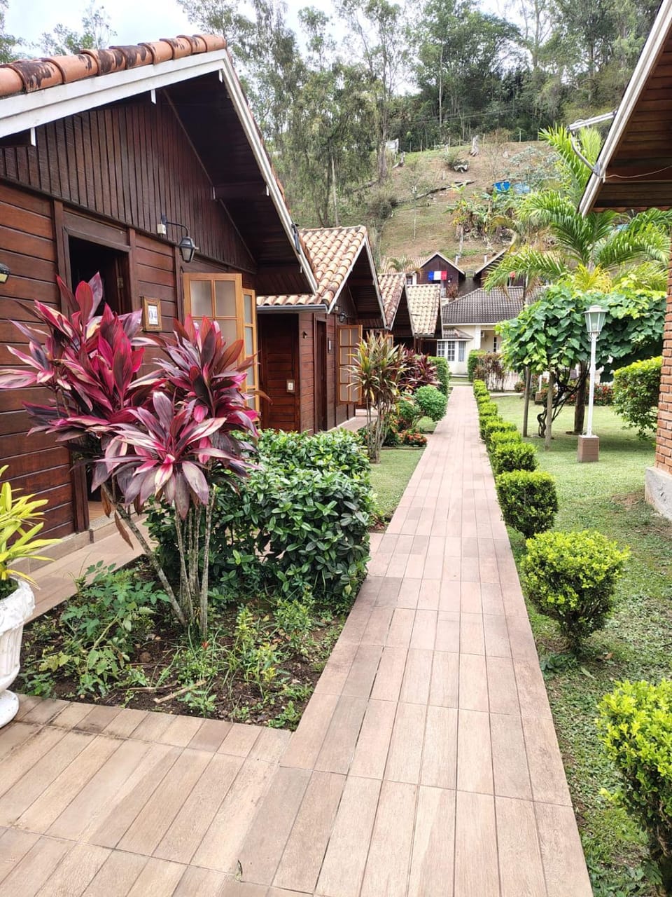 Natural landscape, Garden view