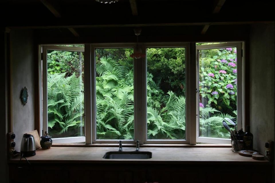 Granny Grunkes Cottage House in Otago