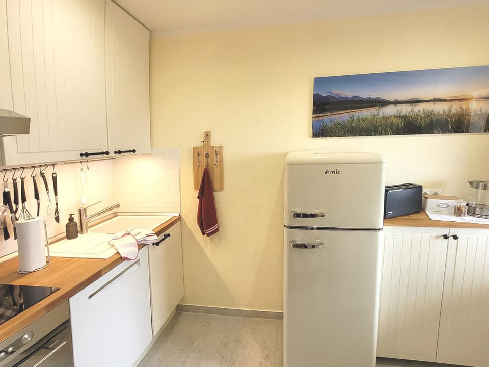 Kitchen or kitchenette, dishwasher, oven, stove, toaster