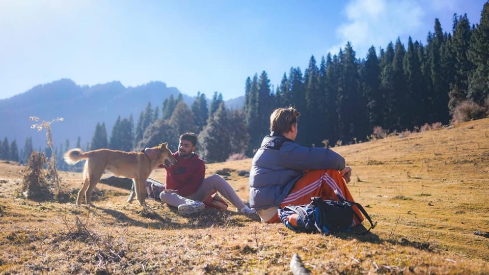 Day, People, Natural landscape, Animals, Pets, Mountain view, group of guests