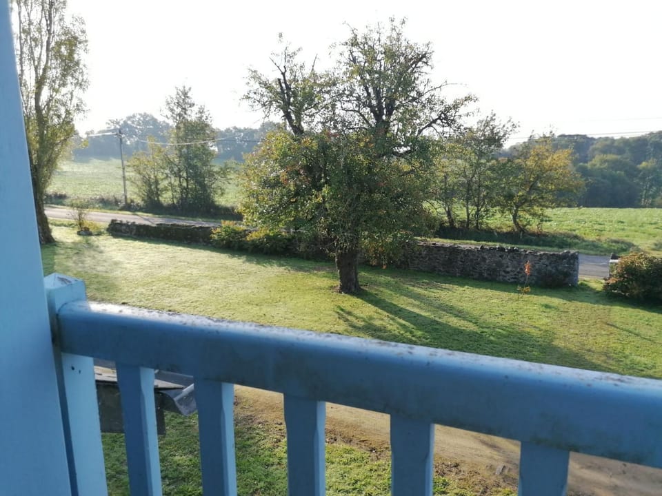 Natural landscape, Garden, Garden view