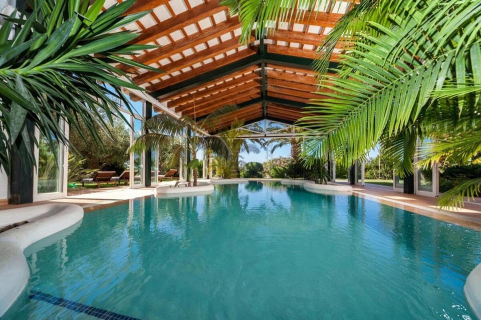 Day, Garden, Garden view, Pool view, Swimming pool, sunbed