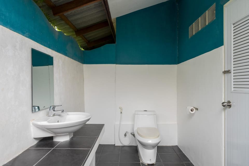 Toilet, Public Bath
