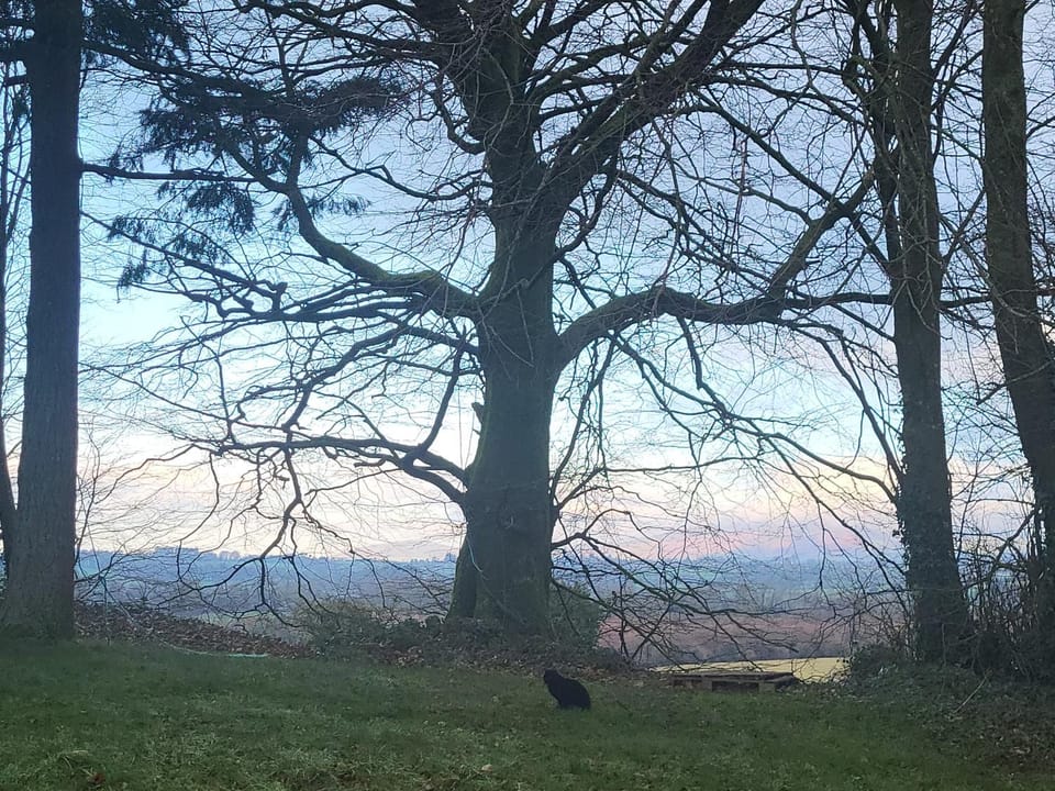 Oak Forest Cottage Apartment in Wicklow, Co. Wicklow, Ireland