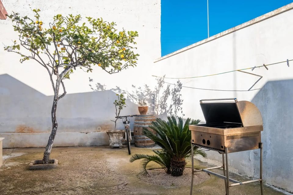 Property building, Spring, Winter, Summer, Garden, Autumn