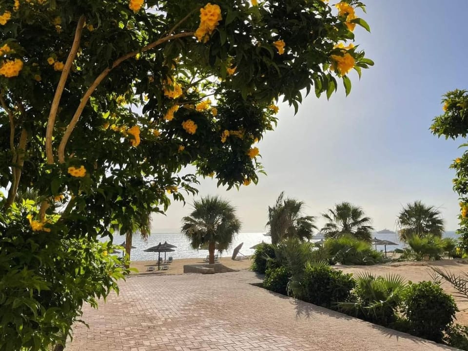 Studio for rent in the view 409 Apartment in Hurghada