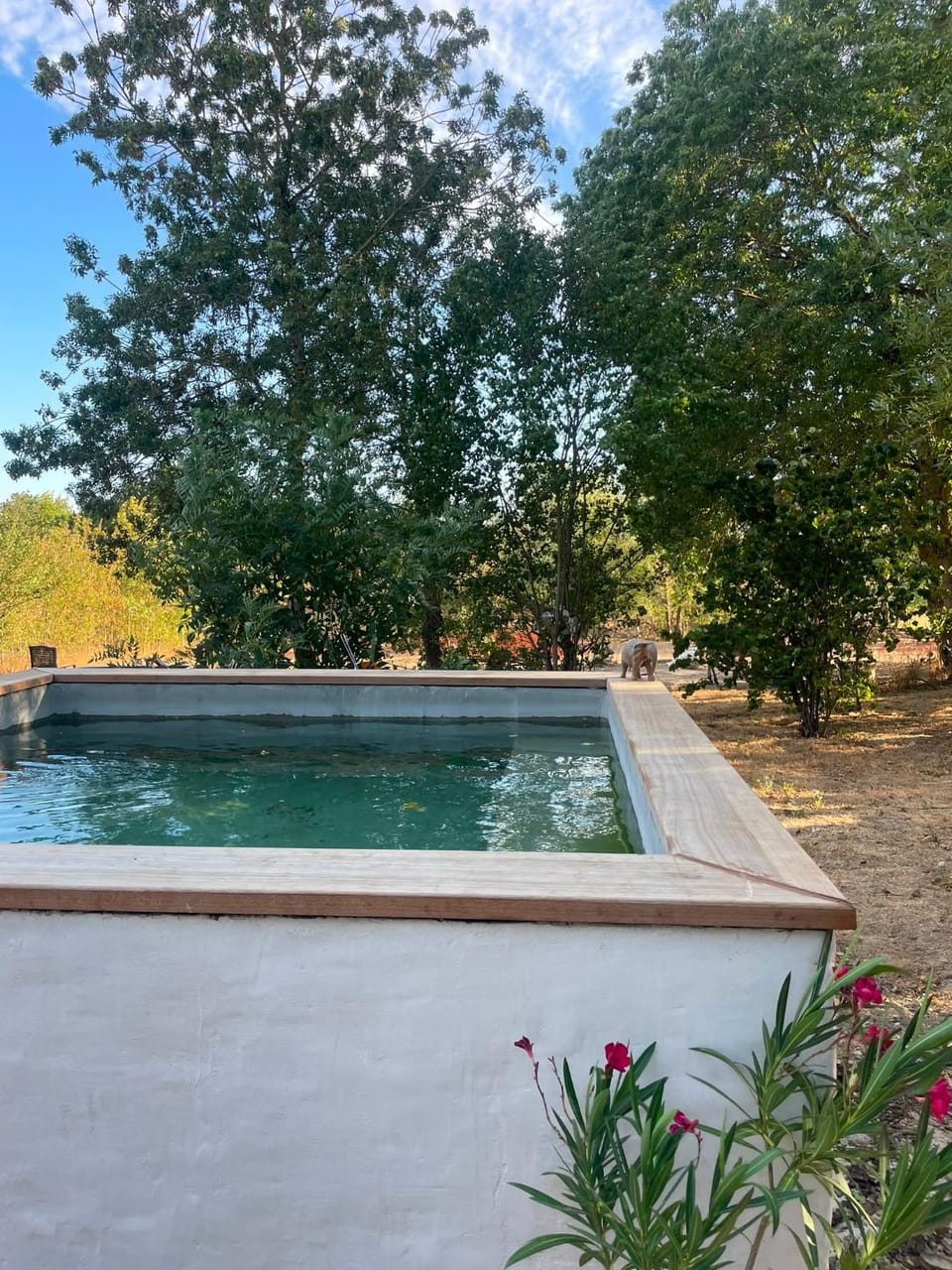 Dormir Ben Aise Hammam Massages Bed and Breakfast in Pays de la Loire