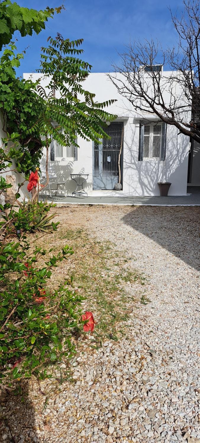 Property building, Day, Garden, Garden view