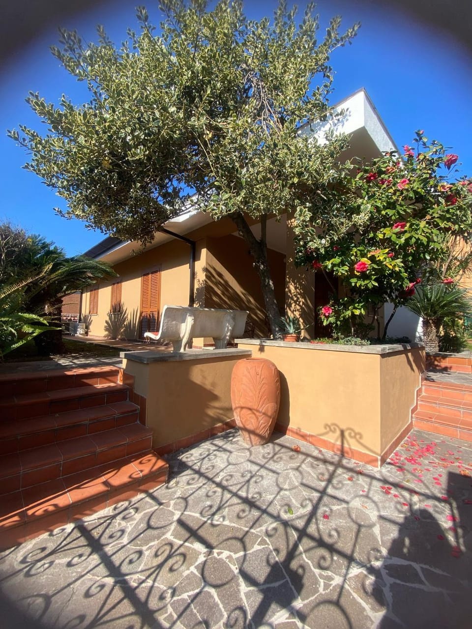 Property building, Garden, Garden