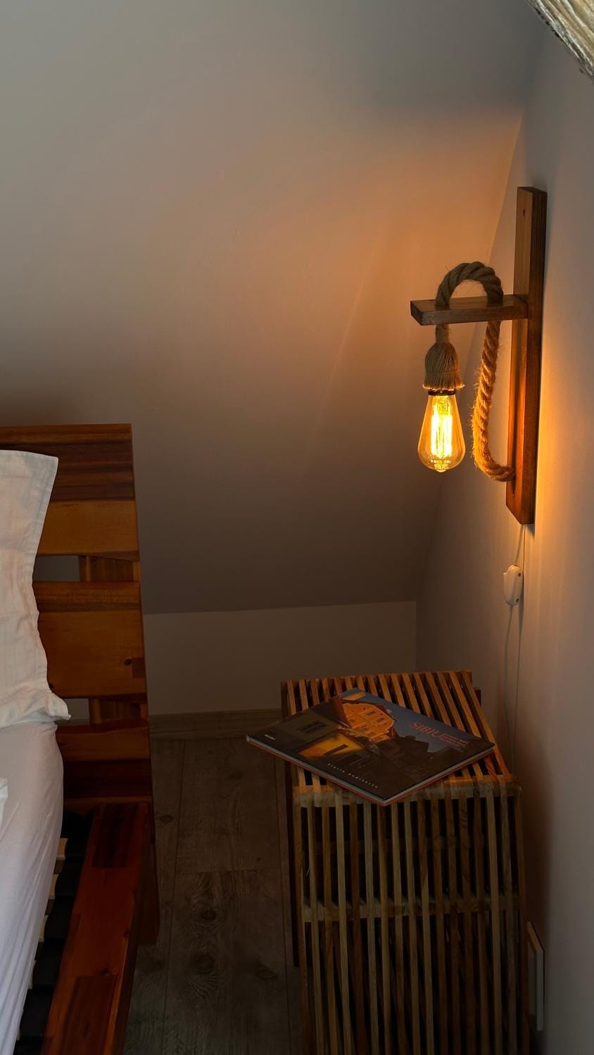 Transylvanian Lofts Apartment in Sibiu