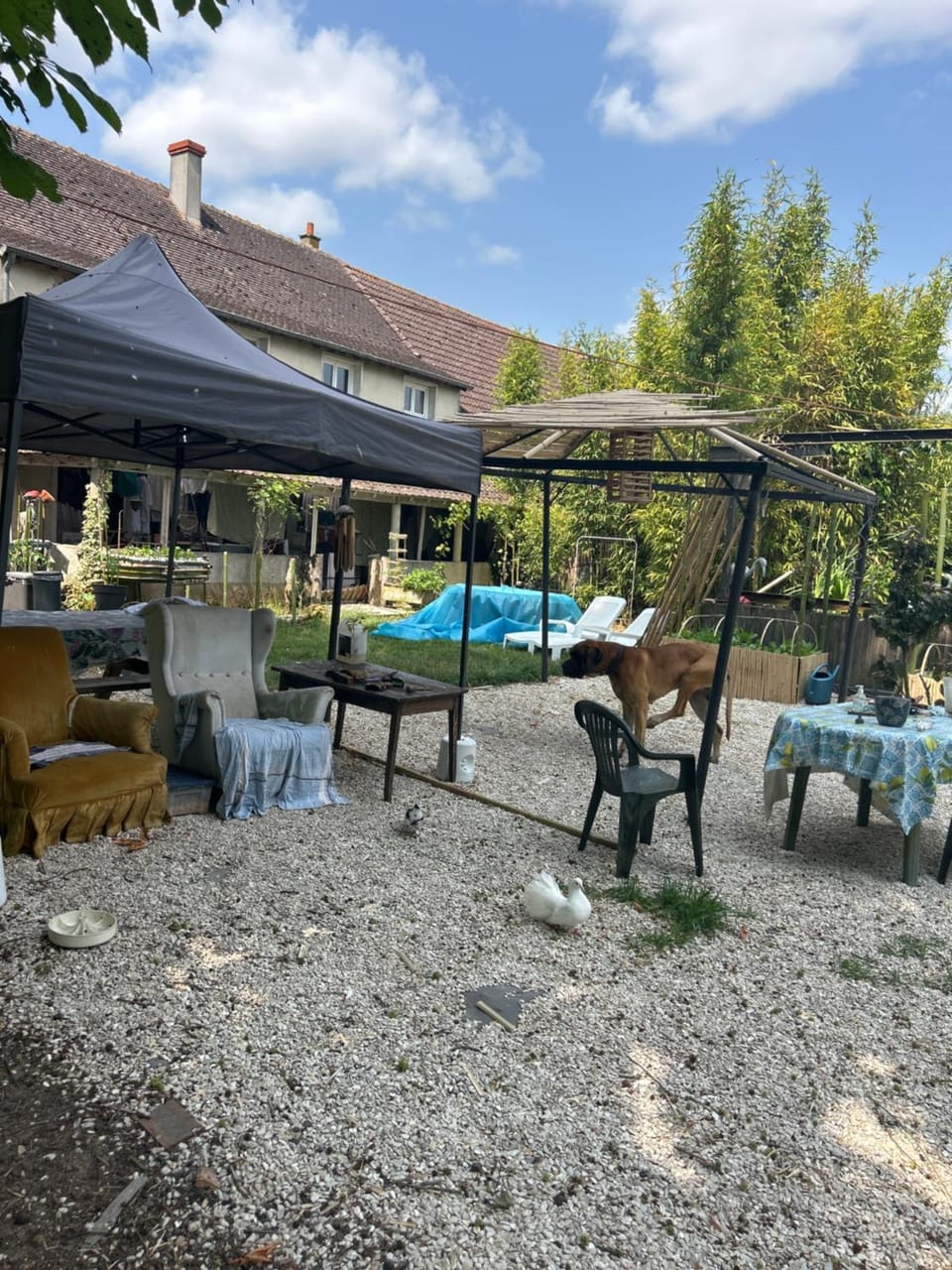 Bambouland Vacation rental in Centre-Val de Loire