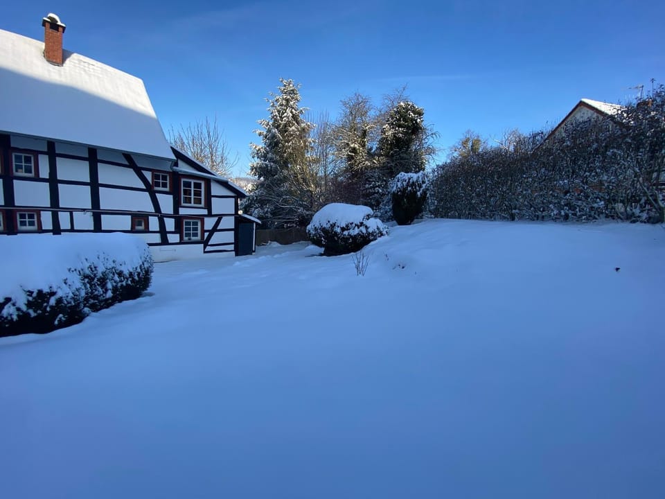 Property building, Winter