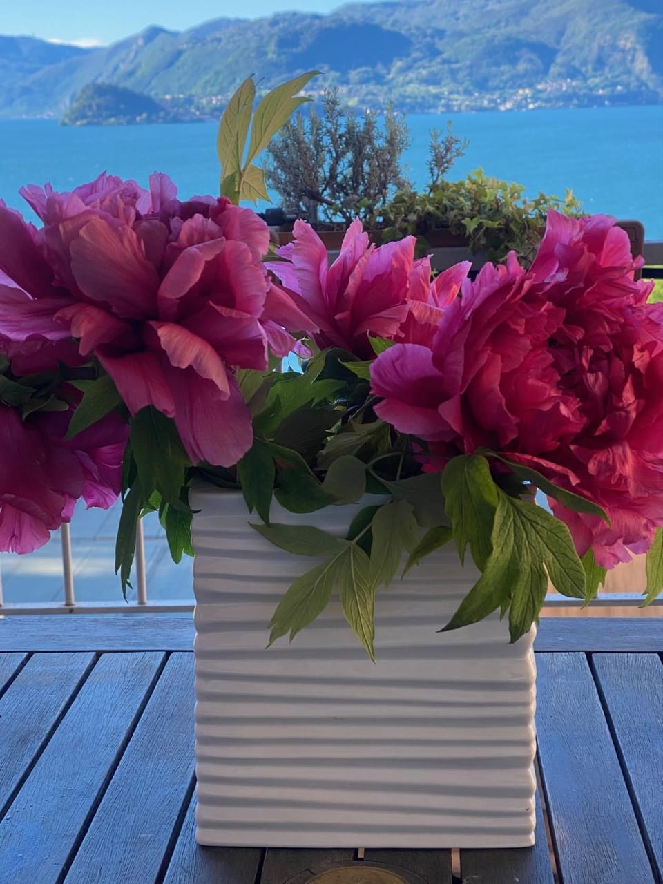 Spring, Natural landscape, Lake view