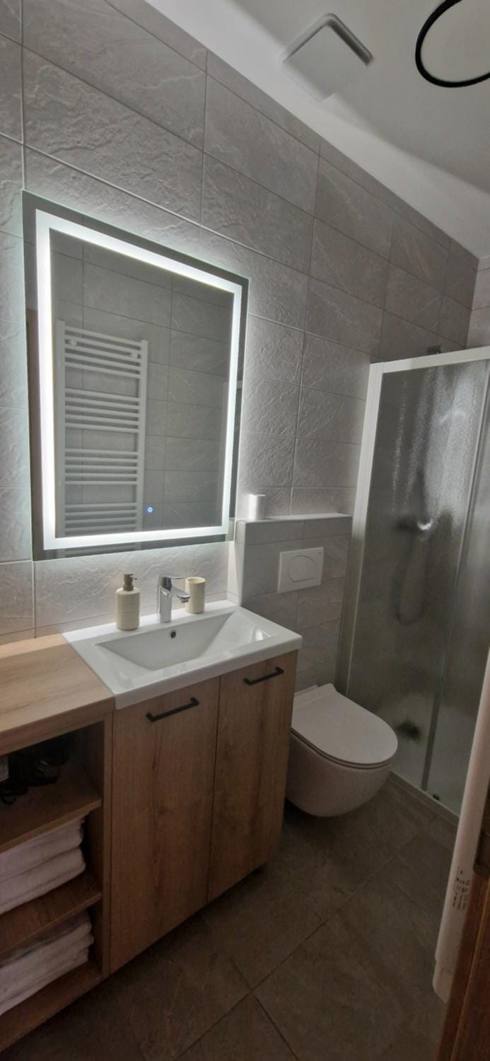 Shower, Toilet, Bathroom, Bath, towels