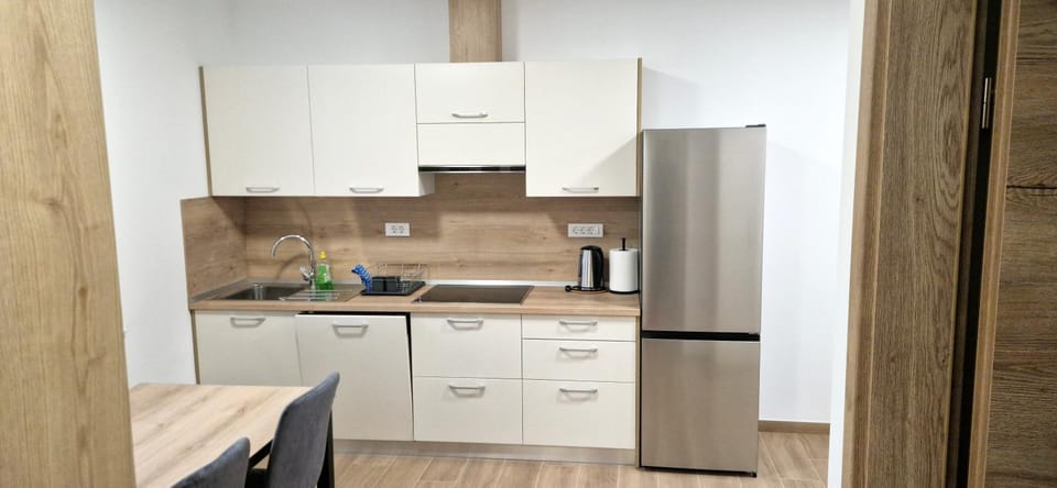Kitchen or kitchenette, dishwasher, stove