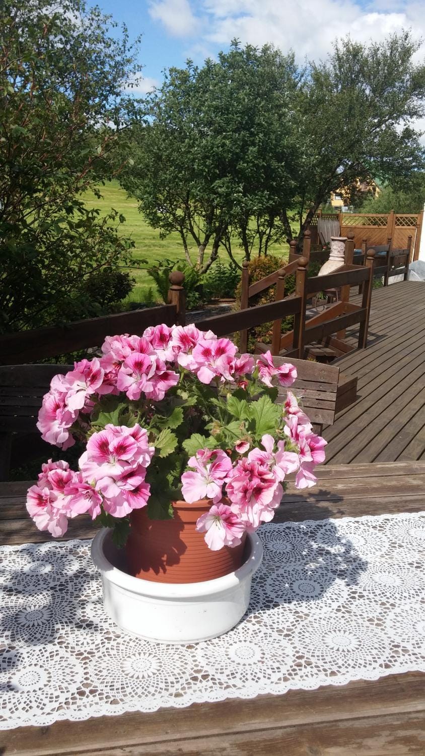 Balcony/Terrace
