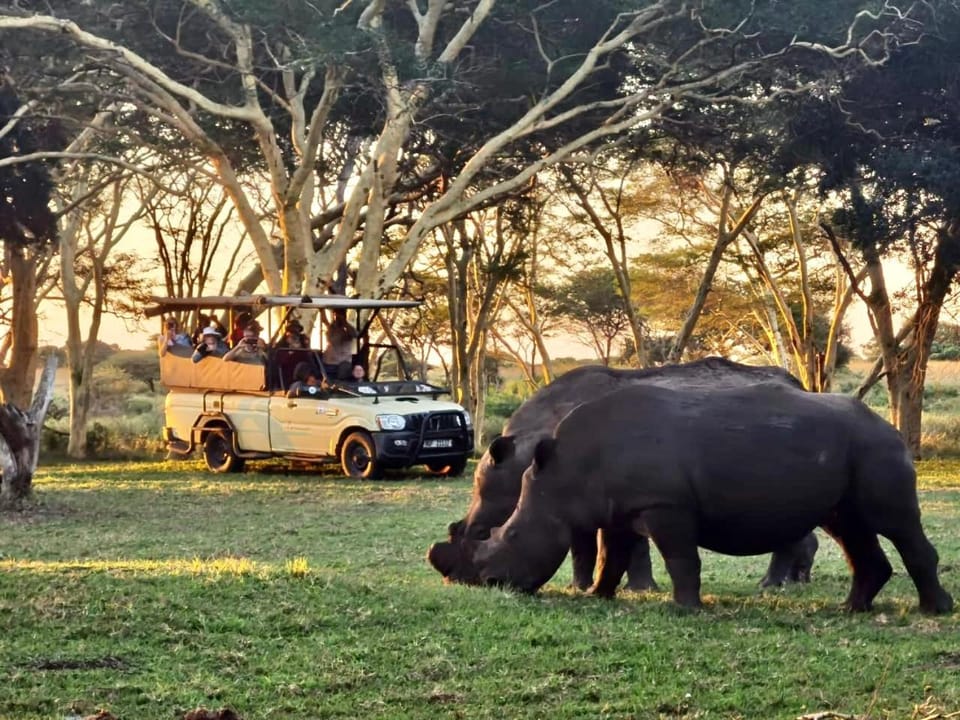 Natural landscape, Activities, Animals