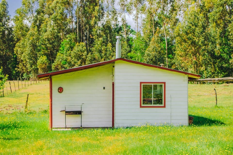Cabañas El Rosal Country House in Araucania, Chile