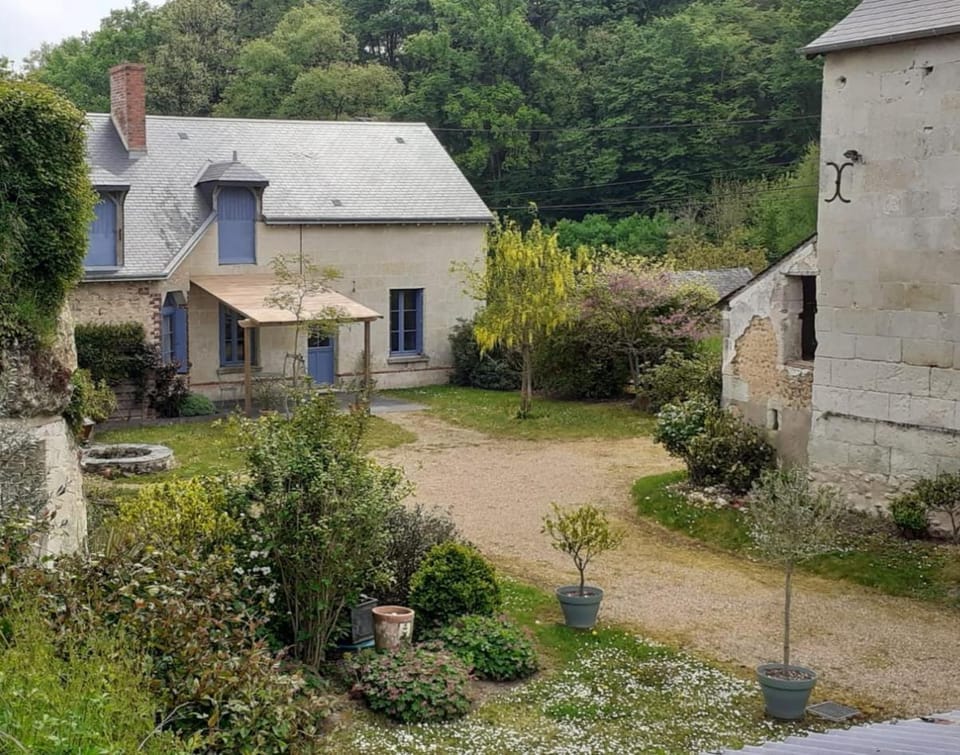 Property building, Natural landscape, Garden