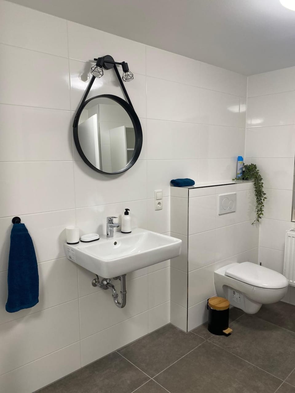 Toilet, towels
