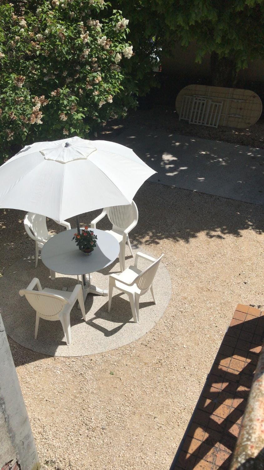 Patio, Garden