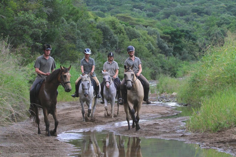 Horse-riding, Animals