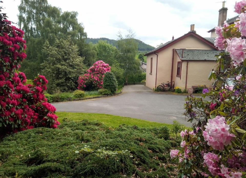 Property building, Spring