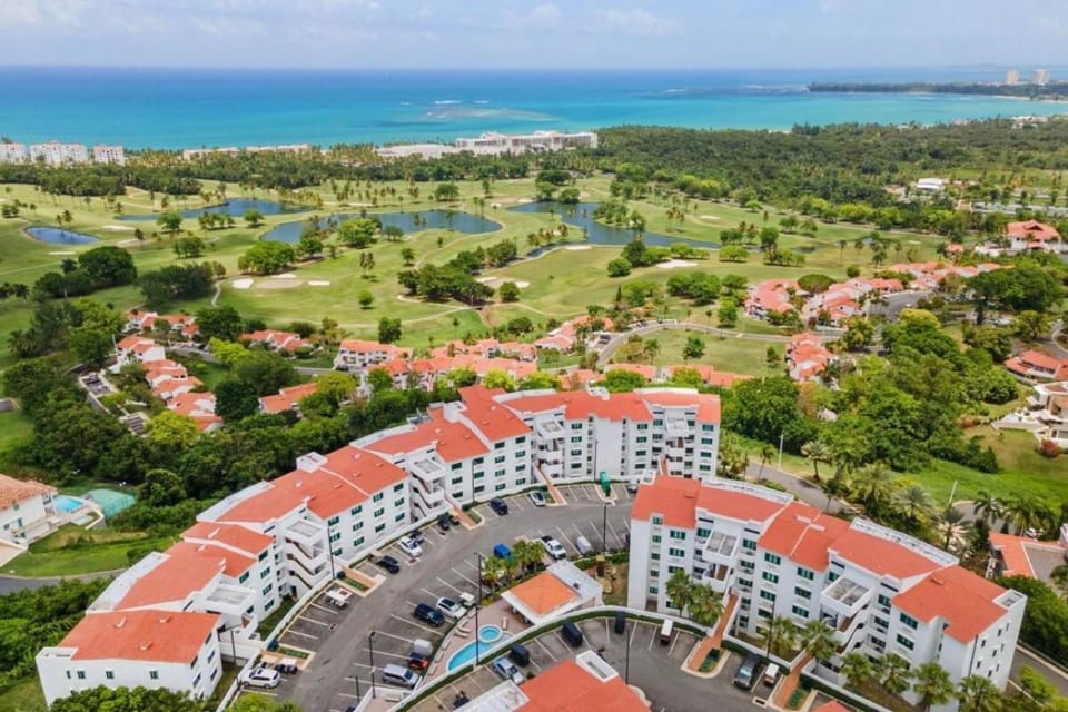 Neighbourhood, View (from property/room), Street view, Location