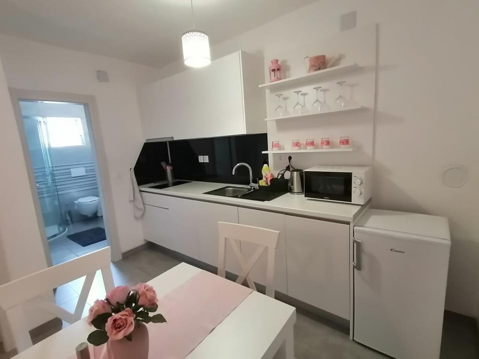 Apartman Rosa Apartment in Novi Vinodolski