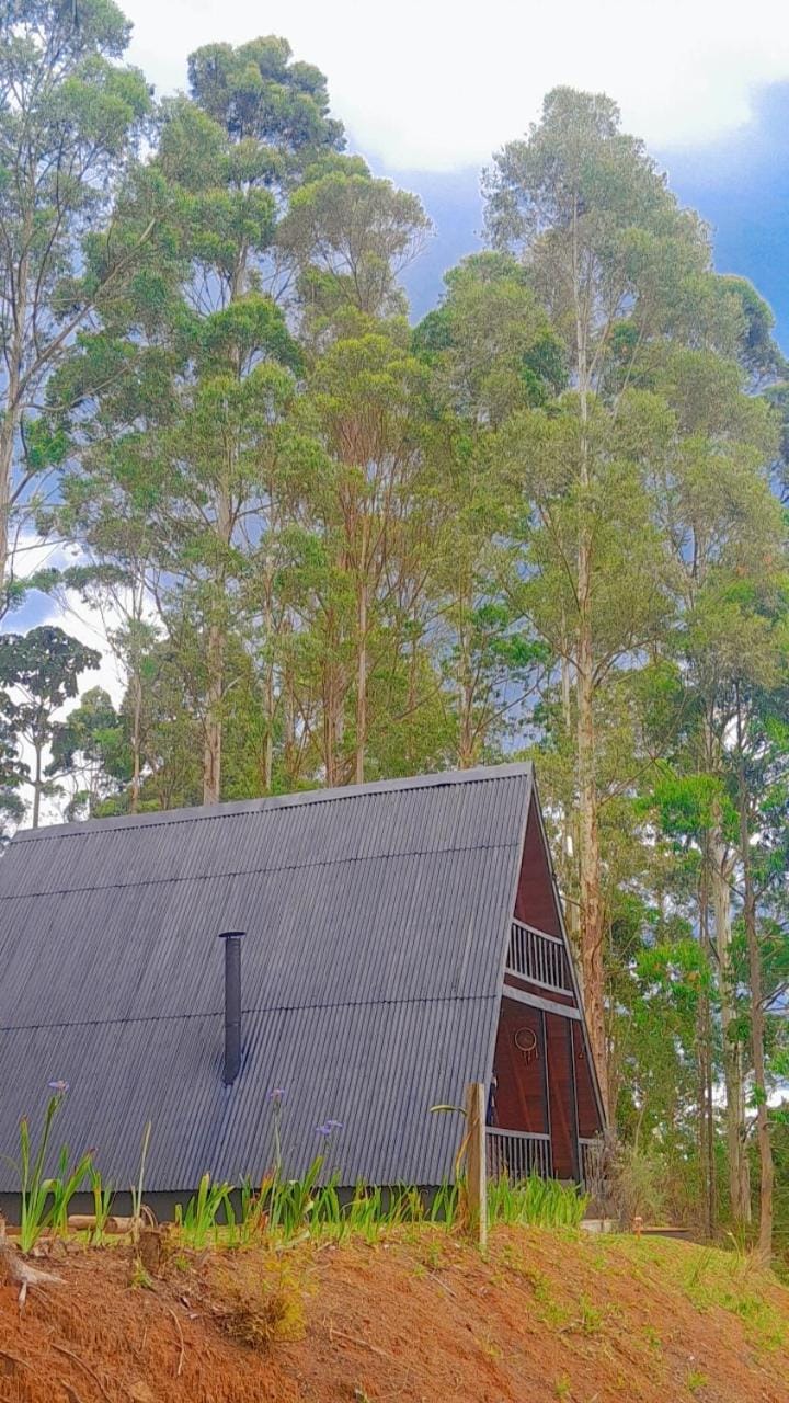 Chalé da Mantiqueira SFX , Pet friendly Chalet in Sao Jose dos Campos