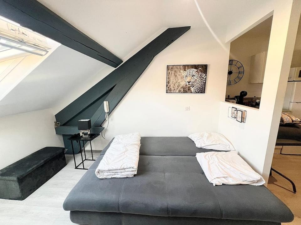 Appartement moderne et central Apartment in Bourgogne-Franche-Comté