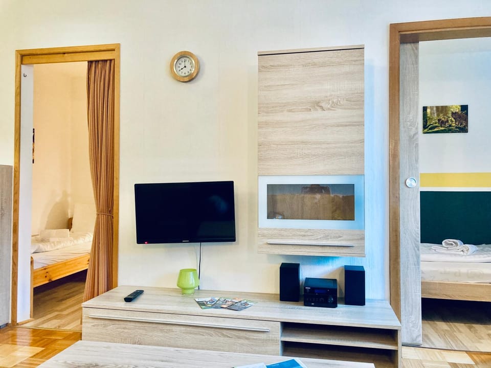 TV and multimedia