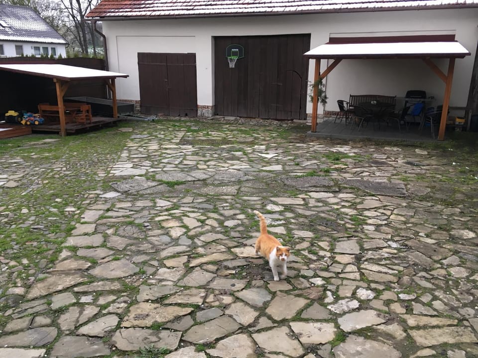 BBQ facilities, Children play ground, Darts, Balcony/Terrace, Animals, Pets