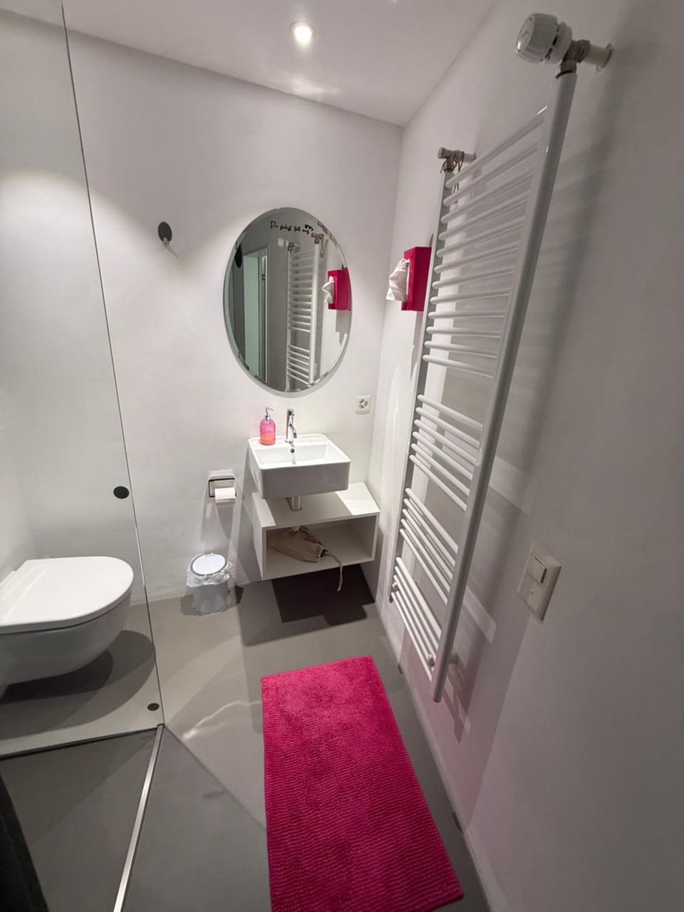 Emelie Apartment in Canton of Bern (Region)