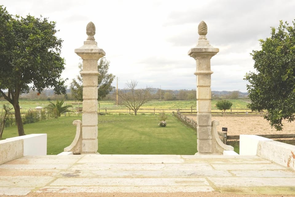 Natural landscape, Garden, Garden view