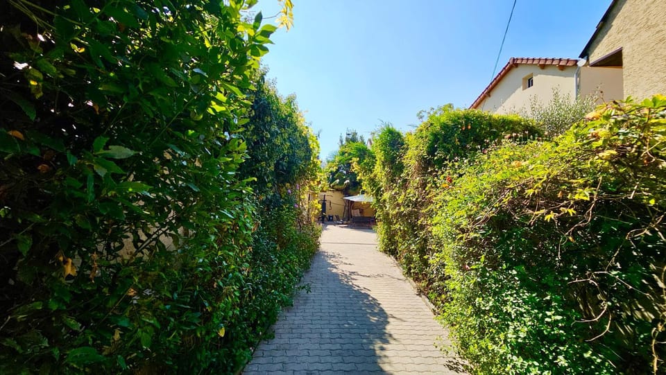 Spring, Day, Garden, Garden view