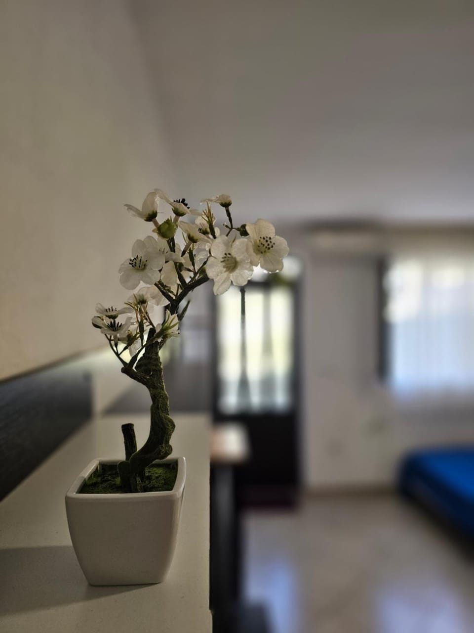 Studio Apartment Blue Dream Apartment in Dobrota