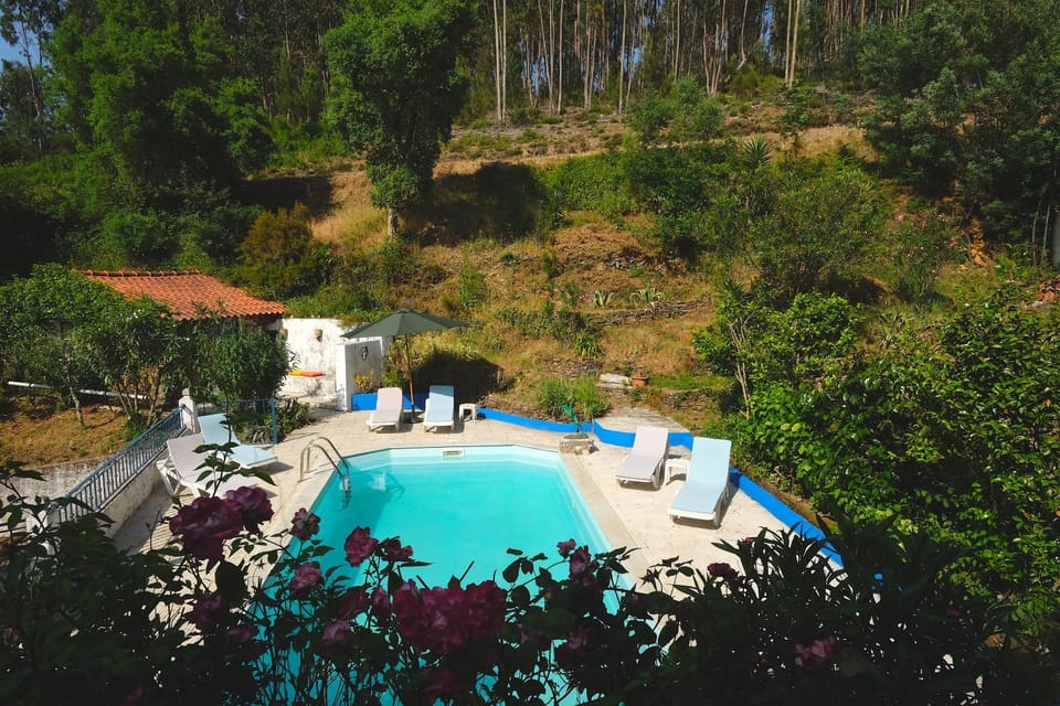 Spring, Natural landscape, Garden, Garden view, Pool view, Swimming pool, sunbed