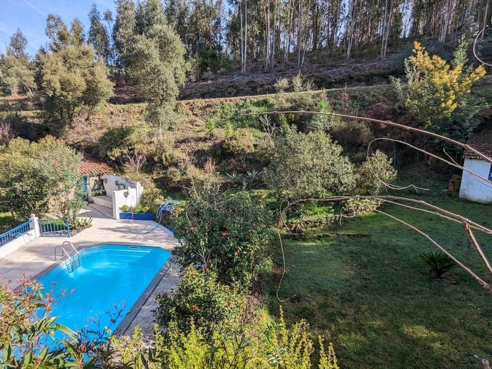 Spring, Natural landscape, Garden, Garden view, Pool view, Swimming pool