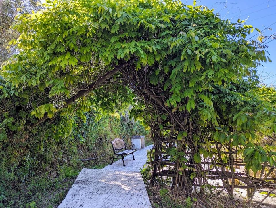 Day, Natural landscape, Garden, Garden view