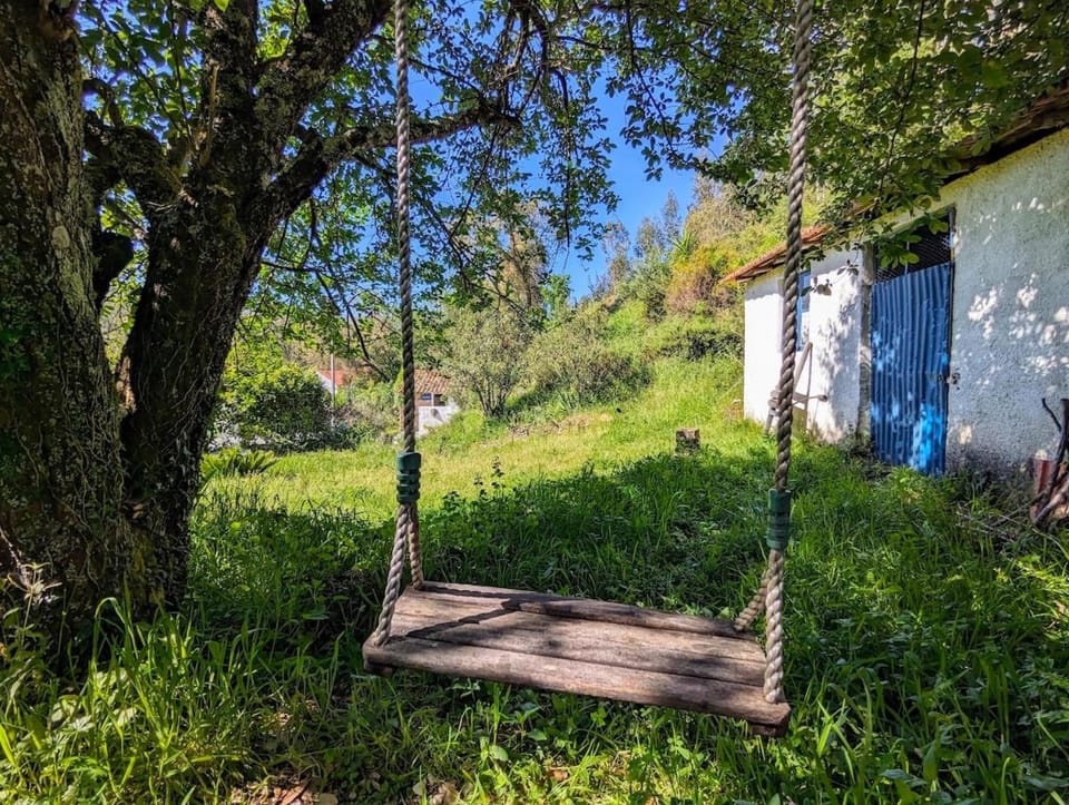 Natural landscape, Garden, Garden view
