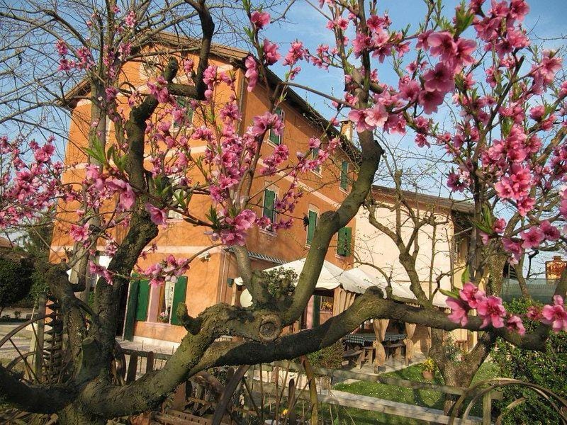 Agriturismo Praetto Farm Stay in Venice