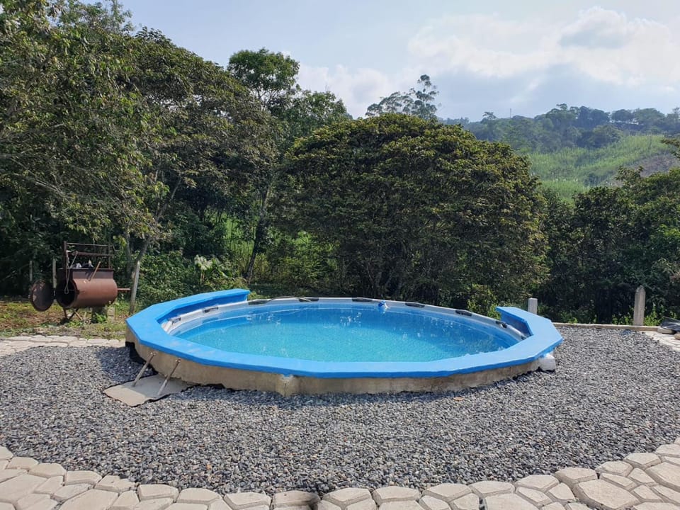 Pool view, Swimming pool