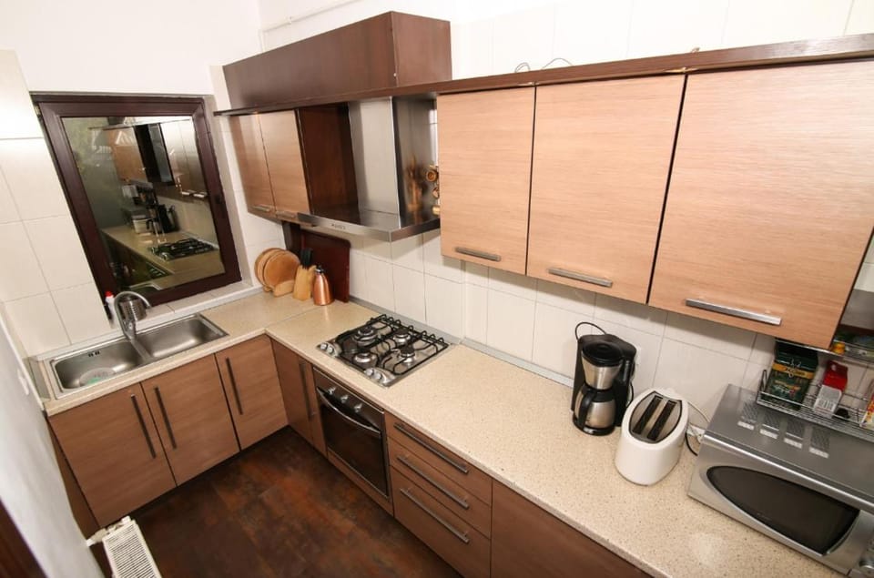 Studio Sport Central Apartment in Timisoara