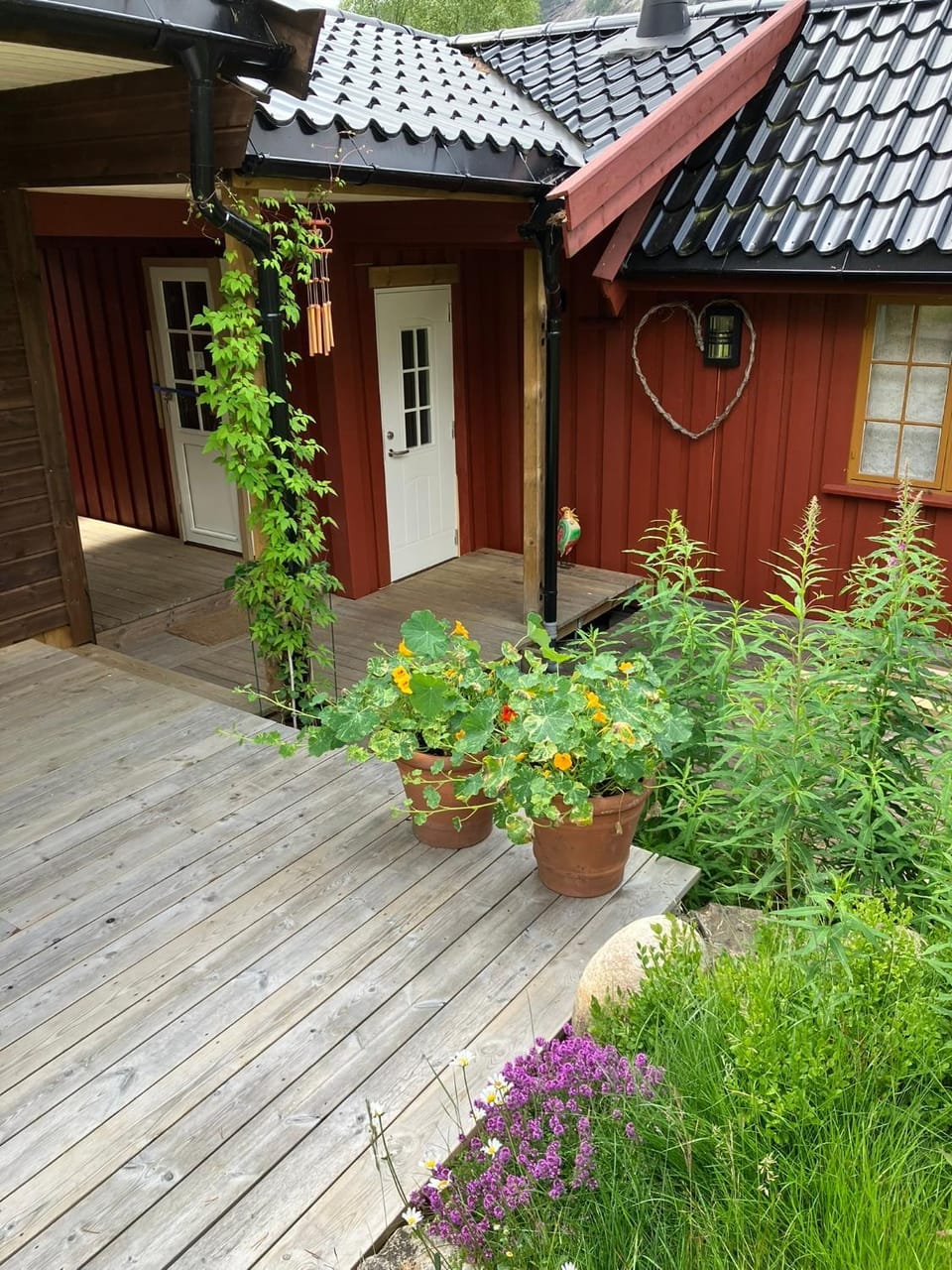 Property building, Facade/entrance, Garden