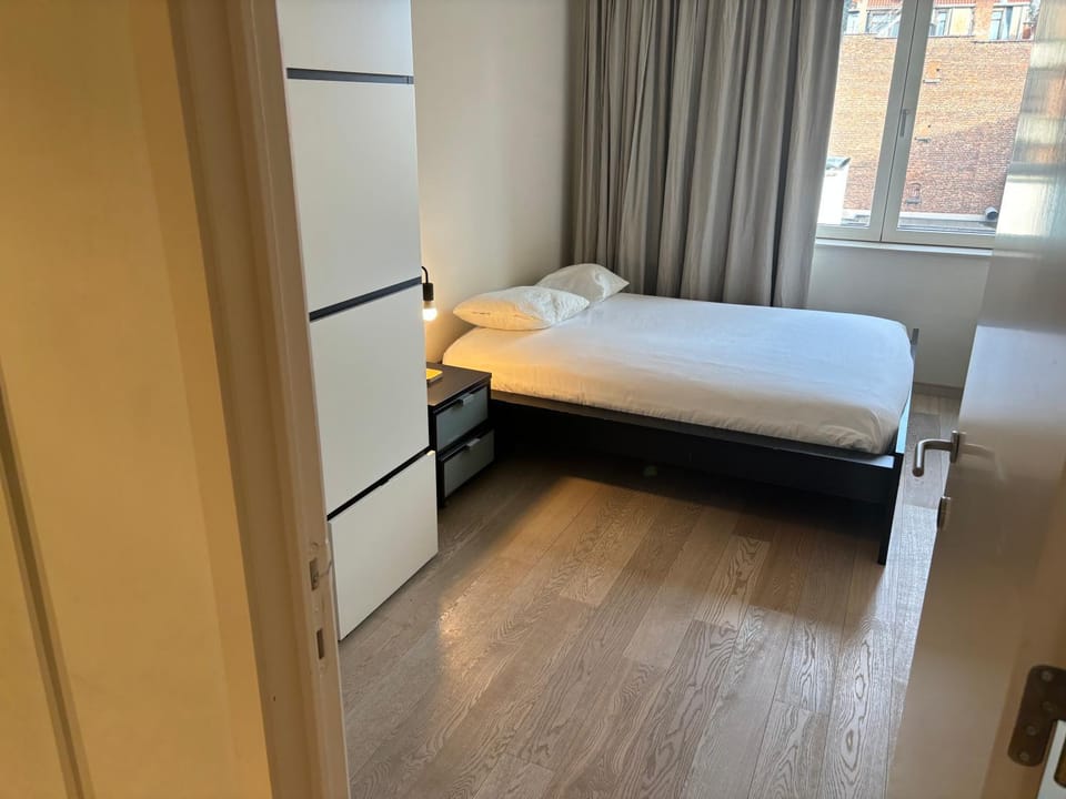 Comfortable Two bedroom Apartment in City Center Apartment in Brussels
