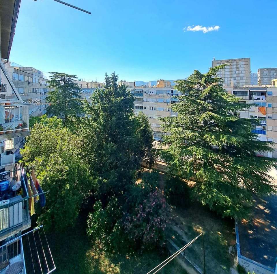 Spring, Day, Natural landscape, Garden, Balcony/Terrace