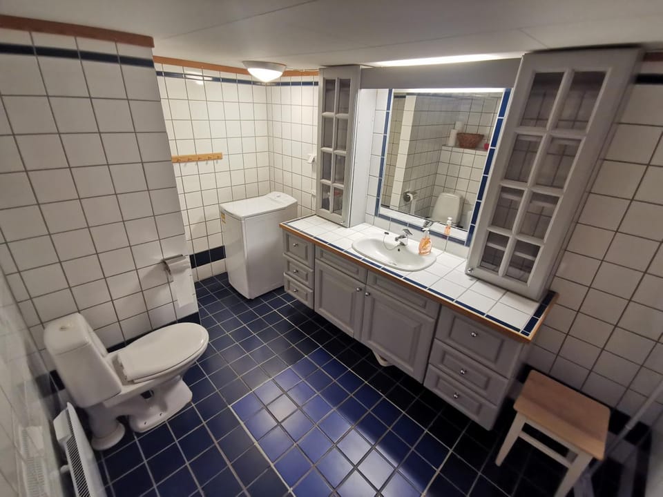 Hemsedal - 2 bedrooms - WI-FI Apartment in Viken, Norway