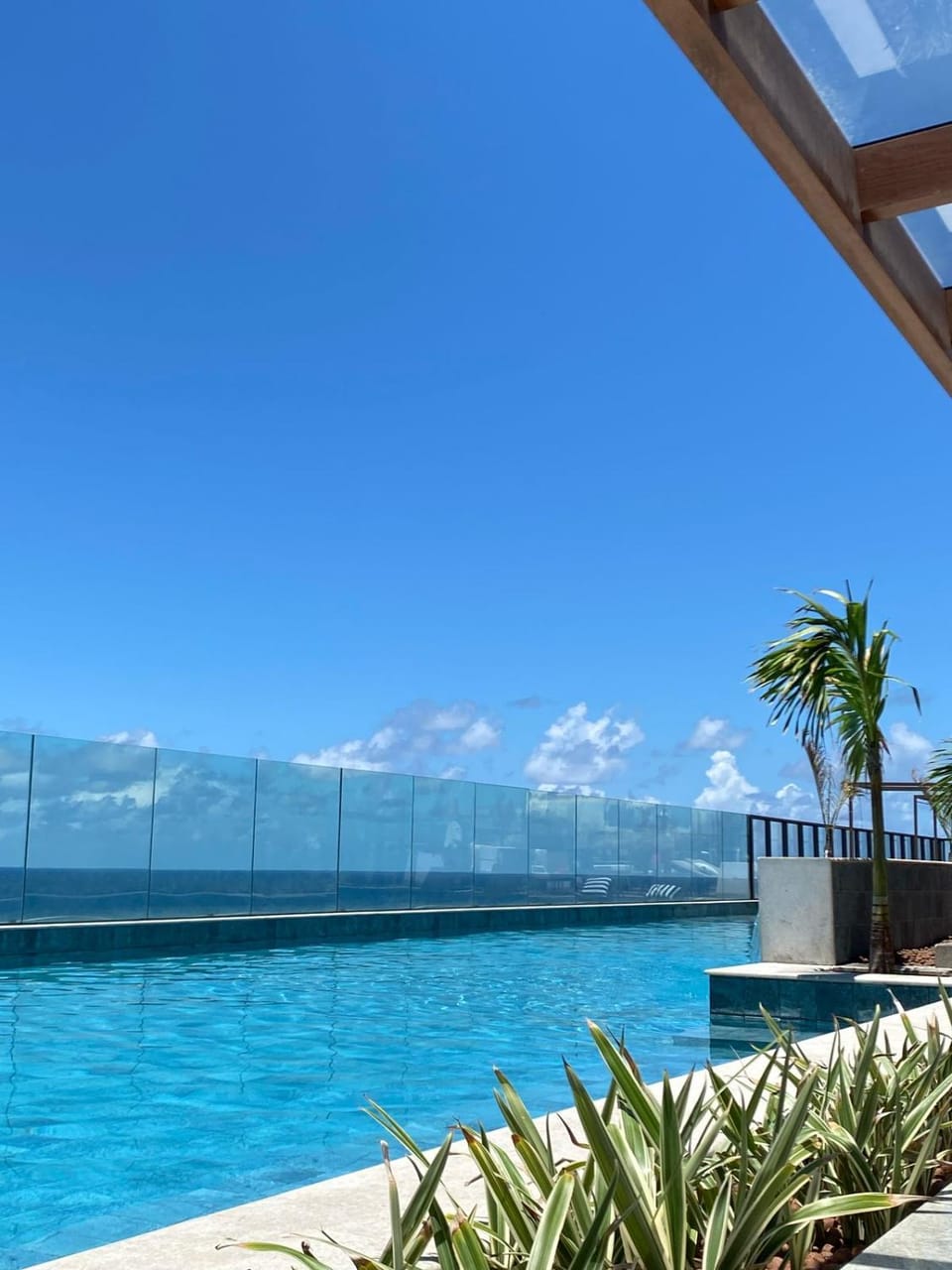 Day, Natural landscape, Pool view, Swimming pool, sunbed